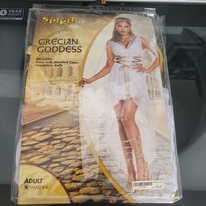 Spirit Grecian Goddess Costume